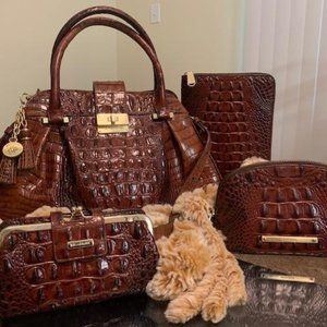 Brahmin Gorgeous and Complete Handbag Collection